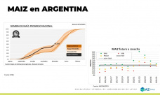 Maíz: Buen desarrollo de los cultivos mete presión al maíz 24/25, ¿y precios?; con Lorena D´Angelo - Clínica de Granos