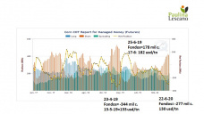 Maíz: todas las fichas puestas en los fondos especulativos, con Paulina Lescano - Clínica de Granos