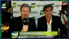 ¿Va a estar muy ajustada la oferta de semillas de Maíz y Girasol? ; con Lisandro Galindez - Dir. Syngenta