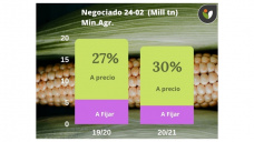 Maíz: se sostiene en niveles máximos ayudado por complicaciones de clima en Sudamérica, con Paulina Lescano - Clínica de Granos