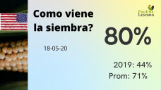 Maíz: la oferta mundial con expectativas de seguir creciendo, ya 80% sembrado en USA, con Paulina Lescano - Clínica de Granos