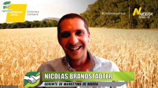Comportamiento de sojas y maíces Nidera en año seco y lo nuevo en trigos; con Nicolás Brandstadter
