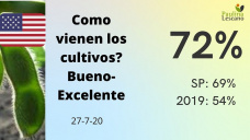 Casi casi entrando de lleno al mercado climático de soja, con buen arranque, con Paulina Lescano - Clínica de Granos