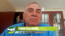¿Y si nos vamos a sembrar a Santa Cruz de la Sierra en Bolivia?; con Pedro Pellegrino