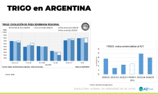 Trigo: área chica, impacto grande, el Trigo reacciona en precios; con Lorena D´Angelo - Clínica de Granos
