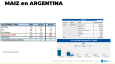 Maíz firme: la demora en la cosecha impulsa el disponible; con Lorena D´ Angelo - Clínica de Granos