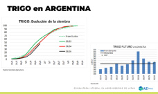 Trigo: El contexto externo ayudó un poco al precio; con Lorena D´Angelo - Clínica de Granos