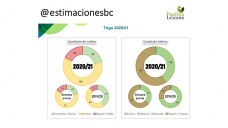 Trigo: avanza la cosecha del Hemisferio Norte, con mas o menos toneladas, pero avanza, con Paulina Lescano - Clínica de Granos