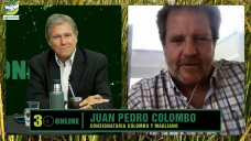 Buenos precios para invernada y consumo, con exportación atada al dólar; con Juan P. Colombo - consignatario