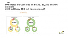 Maíz: sigue nuestro mercado teniendo mejor comportamiento que Chicago, con Paulina Lescano - Clínica de Granos