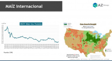Maíz: El cereal encuentra sostén por la demanda; con Lorena D´Angelo - Clínica de Granos