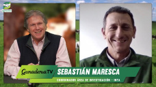 Tecnologías simples y efectivas para mejorar la cría bovina en la Cuenca del Salado; con Sebastián Maresca - veterinario