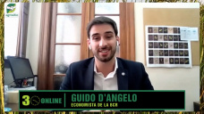 Cómo será el impacto de la seca y las divisas en el campo y en el país; con Guido D´Angelo - BCR