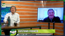 ¿Qué va a pasar con la fertilización para la siembra de gruesa?; con Gustavo Franco - agrónomo