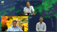 Lo nuevo en genética y tecnologías en Girasol de Limagrain en Argentina; con T. Reynal y M. Bernardo