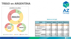Trigo: La preocupación por los cultivos se manifiesta en los precios, con Lorena D´Angelo - Clínica de Granos