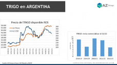 Trigo: Precios en baja por tranquilidad de la demanda exportadora?, con Lorena D´Angelo - Clínica de Granos