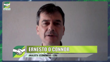 Para el Campo, ¿será mejor la economía de Massa o la de Milei?; con Ernesto O´Connor - economista