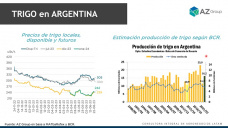 Trigo: en Chicago el cereal alcanzó un máximo de 4 meses, con Sofia Ganly - Clínica de Granos