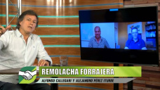 La Remolacha forrajera produce 30 Tons MS/Ha y 900 gr de gan. /día/cab.; con A. Callegari y A. Perez Iturbe