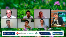 El rol estratégico de Pasturas y Verdeos en ciclos de altos precios de los granos