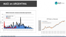 Maíz: Se activaron negocios del cereal con la cosecha, con Lorena D´Angelo - Clínica de Granos