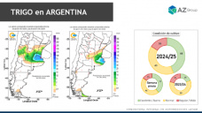 Trigo: las lluvias traen alivian a algunos lotes, ¿cómo sigue el mercado?; con Lorena D´Angelo - Clínica de Granos