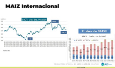 Maiz: La baja de precios es mayor en Argentina ; con Lorena D´Angelo - Clínica de Granos