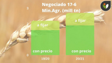 Trigo: avanza la cosecha del Hemisferio Norte, y en Argentina seguimos con la siembra, con Paulina Lescano - Clínica de Granos