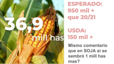 Maíz: inmersos totalmente en mercado climático de USA, pero sumando lluvias que no estaban en los pronósticos, con Paulina Lescano - Clínica de Granos