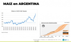 Maíz: son buenos los precios, ¿durarán?; con Lorena D´Angelo - Clínica de Granos