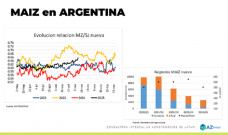 Maíz: Sigue mejorando la relación de precio frente a la soja ¿se sembrará más?; con Lorena D´Angelo - Clínica de Granos
