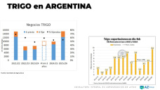 Trigo: Mejoro el cereal en el exterior ¿Por qué no en ARG? ; con Lorena D´ Angelo - Clínica de Granos