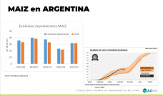 Maíz: con buenas siembras tempranas ¿se sembrará más Maíz tardío?; con Lorena D´Angelo - Clínica de Granos