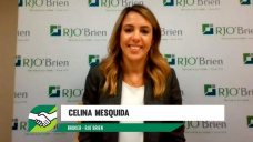 ¿Cómo nos ven desde Chicago?, ¿se equivocó el USDA con el Maíz y subirá?; con Celina Mesquida