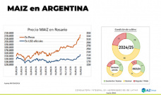 Maíz: El cereal alcanzó niveles inesperados y se puede aprovechar…; con Lorena D´Angelo - Clínica de Granos