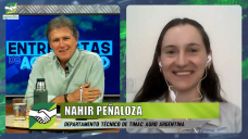 Los bioestimulantes como amortiguadores del stress hídrico en soja y maíz; con Nahir Peñaloza - Timac Agro