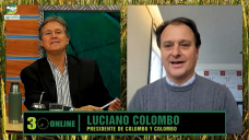 ¿Y los precios de gordo e invernada con lluvias, pasto, y retención en campos?; con Luciano Colombo - consignatario