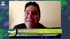 Hasta Maduro en Venezuela defiende más al campo que Alberto y los K; con Hernán Torre - productor