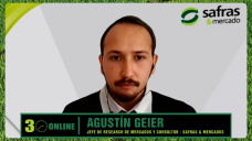 Incertidumbre por precio de Granos e Insumos y la guerra Irán - Israel - EE.UU.; con A. Geier - Safras & Mercados