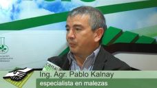 TV: ¿Volvemos a un sistema integrado con control mecánico y químico de malezas?; con P. Kalnay 