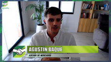 ¿Cuando vender Maíz y Soja y no caer en el 