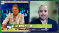 ¿Es negocio este año sembrar garbanzo, lenteja, arveja y poroto?; con Adrián Poletti - agrónomo