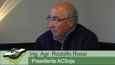 TV: ¿Cómo será la nueva campaña sojera con pago de regalías, controles y Ley de semillas?; con R. Rossi - ACSoja