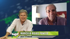 ¿Milei anunciará la baja de retenciones en la Rural de Palermo 2025?; con Marcelo Rojas Panelo - veterinario