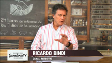 Una revolución Ganadera con ingreso de verdes que Alberto debe apoyar; con Ricardo Bindi