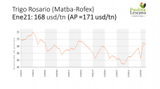 Trigo: va perdiendo fuerza en el mercado internacional, con Paulina Lescano - Clínica de Granos