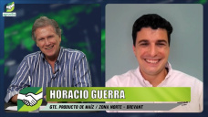 Nuevos híbridos de Maíz: manejo simple, versatilidad, y alto rendimiento; con H. Guerra - Brevant