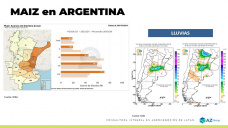 Maíz: las lluvias ayudaran a avanzar con las siembras, ¿cuanto más?; con Lorena D´Angelo - Clínica de Granos