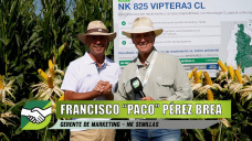 Los nuevo en híbridos de Maíz con Víptera 3; con Paco Pérez Brea - Gte. NK Semillas